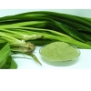 Bột lá nếp thơm 100gr – Tạo màu thực phẩm, làm bánh, nấu xôi, mứt dừa, giá ưu đãi 30.000đ 8