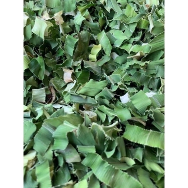 Bột lá nếp thơm 100gr – Tạo màu thực phẩm, làm bánh, nấu xôi, mứt dừa, giá ưu đãi 30.000đ