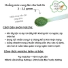 Bột Matcha Ceremonial gói nhỏ nguyên chất Nhật Bản - 39.000, hương thơm đậm, tăng sức đề kháng 8