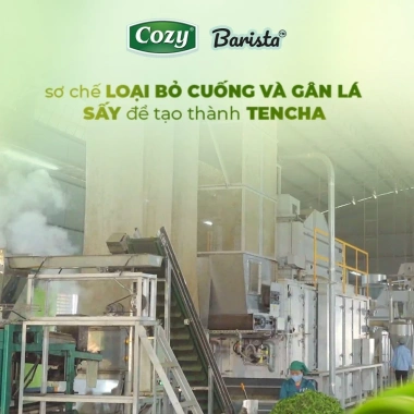 Bột Matcha Cozy Barista 200gr - Pha Latte, Mứt Nougat Tết, giảm còn 200.000 VND