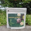 Bột Matcha Hương Nhài 100g Trà xanh, hương nhài thơm ngát, chỉ 75.000đ
