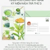 Bột Matcha INUCHA Kyoto Premium 30g - Cấp lễ, Thu hoạch Uji 2.025, Giá ưu đãi 725k 2