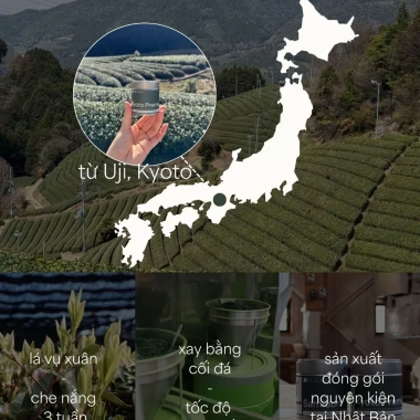 Bột Matcha INUCHA Kyoto Premium 30g - Cấp lễ, Thu hoạch Uji 2.025, Giá ưu đãi 725k