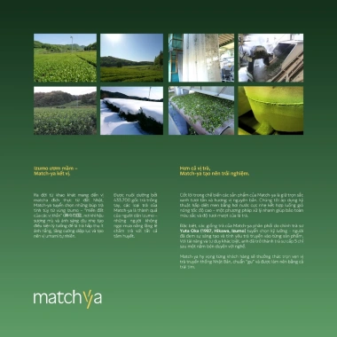 Bột Matcha KOMOREBI Izumo 40g - Giống Đơn Yabukita, Vụ Xuân, Giá ưu đãi 689.500₫ 9