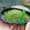 Bột Matcha Nguyên Chất Lạc Yên Trà 100gr – Giá ưu đãi 135.000đ, Tinh chất xanh, Hương thơm độc đáo 2