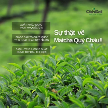 Bột Matcha Tachi Oishi 3A vụ xuân Matcha Haru – Đặc sản Quý Châu, dùng cho pha chế & làm bánh, giá ưu đãi 193.320₫