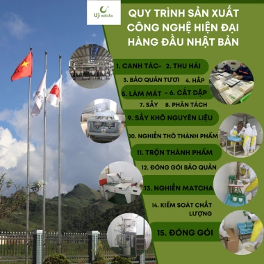 Bột Matcha Uji Ceremonial 100gr - Công Nghệ Nhật Bản, Giá Ưu Đãi 193.200₫