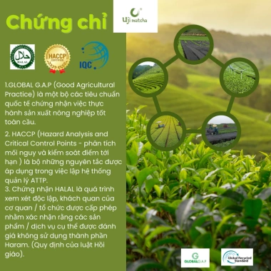 Bột Matcha Uji Ceremonial 50g Công Nghệ Nhật Bản - Giá ưu đãi 105.000đ