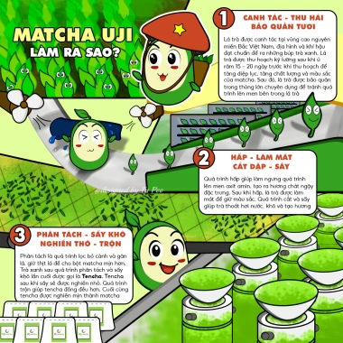 Bột Matcha Uji Latte Grade 50g - Vị trà thơm, đắng nhẹ, TÀ PÉO, giá 55k