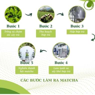 Bột Matcha UJI YANO nguyên chất không đường sữa 100g giá ưu đãi 295.000 5