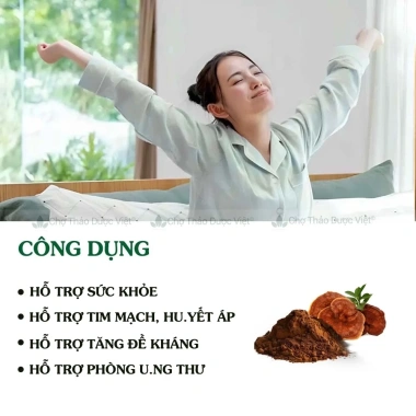 Bột nấm linh chi 100g nguyên chất – Tăng sức đề kháng, hỗ trợ tim mạch, huyết áp, ngừa ung thư – 75.000đ 2