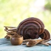 Bột nấm linh chi 100g nguyên chất – Tăng sức đề kháng, hỗ trợ tim mạch, huyết áp, ngừa ung thư – 75.000đ 5
