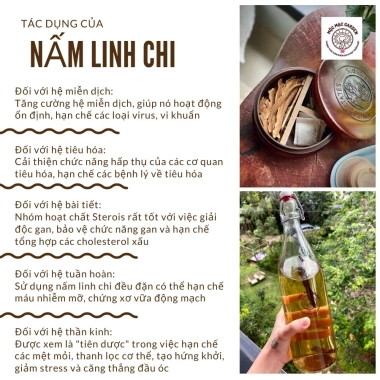 Bột nấm linh chi 100g túi giấy Mộc Mạc Garden - Tăng sức đề kháng, giá chỉ 97.000₫