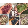 Bột Ngũ Cốc 5 Loại Đậu Rang Xay Mịn 1kg - Giảm Giá Đặc Biệt 150.000 VND (Giá Gốc 183.000 VND) 4