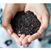 Bột Ngũ Cốc Đậu Đen Mè Đen Damtuh Hàn Quốc 40 gói 20g - Chính Hãng, Giàu Dinh Dưỡng, Ít Đường, Giá Ưu Đãi 309.000 VND 7