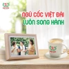 Bột Ngũ Cốc Methi VIỆT ĐÀI Không Đường Giảm Cân Eat Clean 600g 7