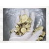 Bột Nhân Sâm Đỏ Red Ginseng 100g - Tăng Sức Đề Kháng, Năng Lượng - Giảm còn 742,500 VNĐ 3