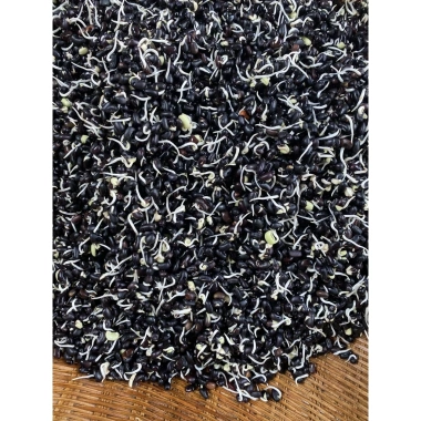 Bột pha Ngũ cốc 16 loại hạt hỗ trợ giảm cân 500g - Thơm ngon, sánh mịn, giá ưu đãi 150k