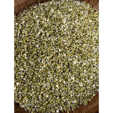 Bột pha Ngũ cốc 16 loại hạt hỗ trợ giảm cân 500g - Thơm ngon, sánh mịn, giá ưu đãi 150k