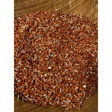 Bột pha Ngũ cốc 16 loại hạt hỗ trợ giảm cân 500g - Thơm ngon, sánh mịn, giá ưu đãi 150k