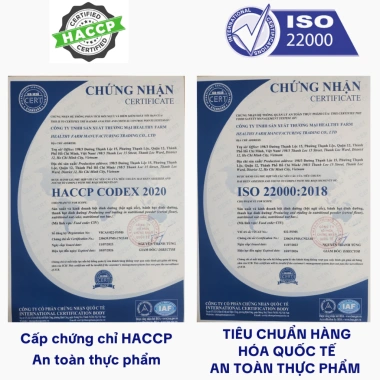 Bột Protein Thực vật Combo 1 Hộp + 1 Bình Lắc Shaker - Giá 310.000₫, Hỗ trợ giảm cân