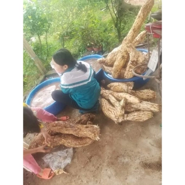 Bột Sắn Dây Nguyên Chất - Thanh Nhiệt, Mát, Ngăn Viêm Loét Miệng, Giá 122.986 VND