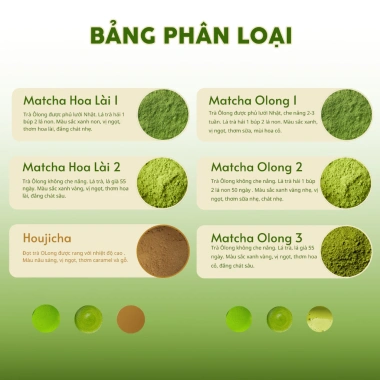 Bột Trà Matcha Olong 2 - Trà Olong Bảo Lộc, hương thơm tự nhiên, chỉ 114.000₫