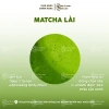 Bột Trà Matcha Olong Hoa Lài - Trà Ôlong Bảo Lộc, Giảm Giá Đặc Biệt 126k 3