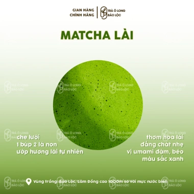 Bột Trà Matcha Olong Hoa Lài - Trà Ôlong Bảo Lộc, Giảm Giá Đặc Biệt 126k