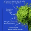 Bột Trà Matcha Sasae Kokoro Ceremonial Grade Nhật Bản 30g-50g, Trà Đạo - 340k VND 3