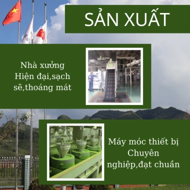 Bột trà xanh Uji Matcha Culinary grade 100g – Thơm ngon chuẩn vị, giảm giá 175k 6 Bột trà xanh Uji Matcha Culinary grade 100g – Thơm ngon chuẩn vị, giảm giá 175k 6