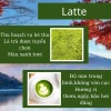 Bột trà xanh Uji Matcha Latte grade 100g Thơm ngon chuẩn vị giảm giá 190k 3