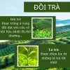 Bột trà xanh Uji Matcha Latte grade 100g Thơm ngon chuẩn vị giảm giá 190k 5