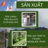 Bột trà xanh Uji Matcha Latte grade 100g Thơm ngon chuẩn vị giảm giá 190k 6