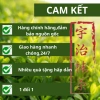 Bột trà xanh Uji Matcha Latte grade 100g Thơm ngon chuẩn vị giảm giá 190k 7