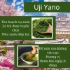 Bột trà xanh Uji Matcha Uij Yano 100g - Thơm ngon chuẩn vị, giá ưu đãi 155.000 VND 3