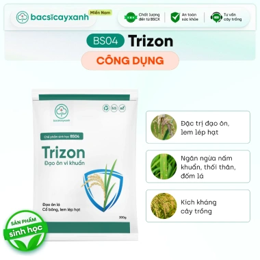 BS04 Trizon Phòng Đạo Ôn Lá Đạo Ôn Cổ Bông Lem Lép Hạt Trên Lúa Bác Sĩ Cây Xanh - Giá Ưu Đãi 248.000đ 3 BS04 Trizon Phòng Đạo Ôn Lá Đạo Ôn Cổ Bông Lem Lép Hạt Trên Lúa Bác Sĩ Cây Xanh - Giá Ưu Đãi 248.000đ 3