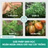 BS05 Movir Chặn Đứng Xoăn Lá - Phòng Sượng Trái Do Virus, Giá Giảm 85.000₫ 7