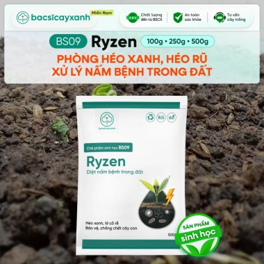BS09 Ryzen - Phòng Trừ Nấm Hại Đất Ngừa Héo Xanh, Xử Lý Lở Cỗ Rễ Vàng Lá - Chỉ 59.000đ