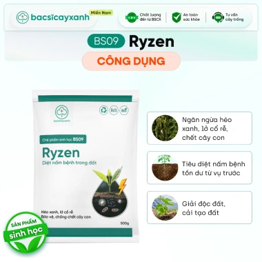 BS09 Ryzen - Phòng Trừ Nấm Hại Đất Ngừa Héo Xanh, Xử Lý Lở Cỗ Rễ Vàng Lá - Chỉ 59.000đ 3 BS09 Ryzen - Phòng Trừ Nấm Hại Đất Ngừa Héo Xanh, Xử Lý Lở Cỗ Rễ Vàng Lá - Chỉ 59.000đ 3