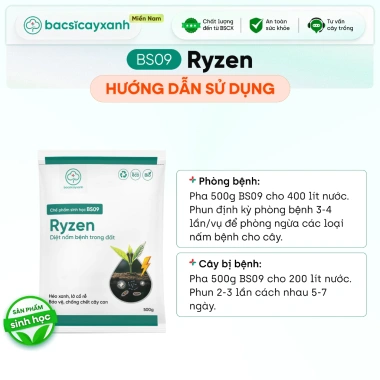 BS09 Ryzen - Phòng Trừ Nấm Hại Đất Ngừa Héo Xanh, Xử Lý Lở Cỗ Rễ Vàng Lá - Chỉ 59.000đ 6 BS09 Ryzen - Phòng Trừ Nấm Hại Đất Ngừa Héo Xanh, Xử Lý Lở Cỗ Rễ Vàng Lá - Chỉ 59.000đ 6