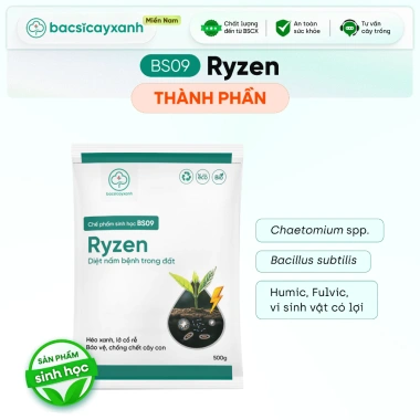 BS09 Ryzen - Phòng Trừ Nấm Hại Đất Ngừa Héo Xanh, Xử Lý Lở Cỗ Rễ Vàng Lá - Chỉ 59.000đ 7 BS09 Ryzen - Phòng Trừ Nấm Hại Đất Ngừa Héo Xanh, Xử Lý Lở Cỗ Rễ Vàng Lá - Chỉ 59.000đ 7