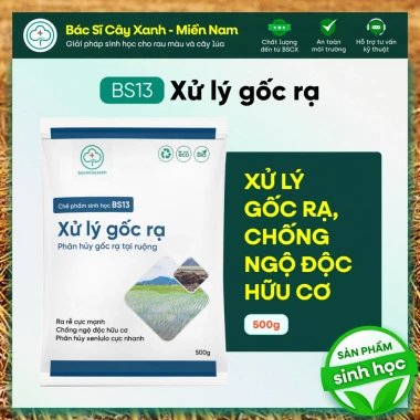BS13 Xử Lý Gốc Rạ - Phân Hủy Nhanh Rơm Rạ, Đất Tơi Xốp Hữu Cơ | Bác Sĩ Cây Xanh BS13 Xử Lý Gốc Rạ - Phân Hủy Nhanh Rơm Rạ, Đất Tơi Xốp Hữu Cơ | Bác Sĩ Cây Xanh