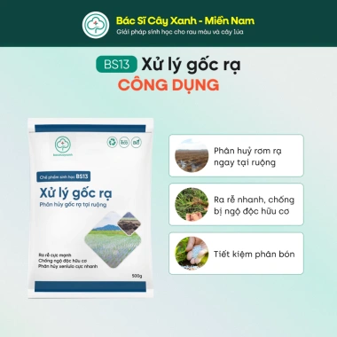 BS13 Xử Lý Gốc Rạ - Phân Hủy Nhanh Rơm Rạ, Đất Tơi Xốp Hữu Cơ | Bác Sĩ Cây Xanh 3 BS13 Xử Lý Gốc Rạ - Phân Hủy Nhanh Rơm Rạ, Đất Tơi Xốp Hữu Cơ | Bác Sĩ Cây Xanh 3