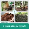 BS13 Xử Lý Gốc Rạ - Phân Hủy Nhanh Rơm Rạ, Đất Tơi Xốp Hữu Cơ | Bác Sĩ Cây Xanh 5