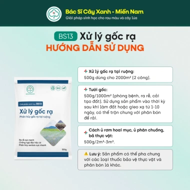 BS13 Xử Lý Gốc Rạ - Phân Hủy Nhanh Rơm Rạ, Đất Tơi Xốp Hữu Cơ | Bác Sĩ Cây Xanh 6 BS13 Xử Lý Gốc Rạ - Phân Hủy Nhanh Rơm Rạ, Đất Tơi Xốp Hữu Cơ | Bác Sĩ Cây Xanh 6
