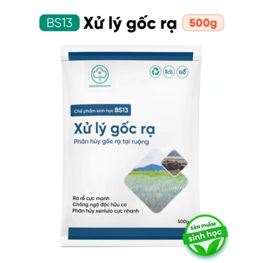 BS13 Xử Lý Gốc Rạ - Phân Hủy Nhanh Rơm Rạ, Đất Tơi Xốp Hữu Cơ | Bác Sĩ Cây Xanh 7 BS13 Xử Lý Gốc Rạ - Phân Hủy Nhanh Rơm Rạ, Đất Tơi Xốp Hữu Cơ | Bác Sĩ Cây Xanh 7