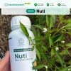 BS15 Nuti Phân Bón Kích Cây Ra Hoa Nhanh Đậu Trái Bông Trổ Đều Giá Ưu Đãi 186.120đ 2
