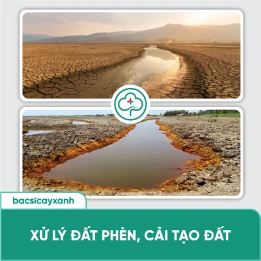 BS19 Alum khử chua hạ phèn đất, xử lý nhiễm mặn ngộ độc hữu cơ và Bác Sĩ Cây Xanh 4 BS19 Alum khử chua hạ phèn đất, xử lý nhiễm mặn ngộ độc hữu cơ và Bác Sĩ Cây Xanh 4