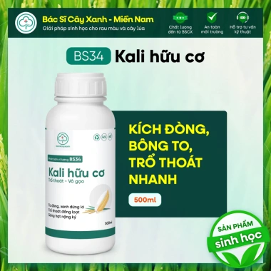 BS34 Kali Hữu Cơ - Tăng Đông Lúa, Trổ Thoát Nặng Hạt Giai Đoạn Làm Đòng | Bác Sĩ Cây Xanh 198k BS34 Kali Hữu Cơ - Tăng Đông Lúa, Trổ Thoát Nặng Hạt Giai Đoạn Làm Đòng | Bác Sĩ Cây Xanh 198k